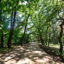 탄금대로 R 이미지