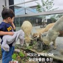 커피바라24 | 비오는 날 걱정없는 와글와글 동물원 입장료부터 먹이체험까지 총정리