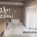 스테이-오롯 이미지