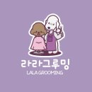 라라그루밍 이미지