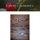 김쌤구두 | 창수아빠의 이야기 - 6월 16일