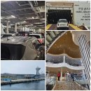 제주여객자동차㈜ | 제주 -&gt; 완도 골드스텔라호 차량선적 승선절차ㆍ46일 간의 제주여행을 마치며 ᆢ