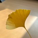 호평고등학교 | 수능이 끝난 고3은 무엇을 할까?(11월 블로그)