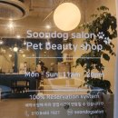 순독살롱 | 강서구 염창동•등촌동 애견 미용 '순독살롱' 후기