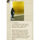부흥의상실 | 쿨링잇 포지타노 미듐&라지 리뷰 총 모음 1탄