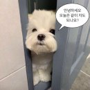 광주061 | [순창숙소] 광주 근교 자쿠지 숙소 ‘스테이사계’ | 담양 주평숯불갈비 내돈내산 후기✨