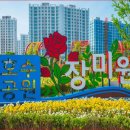 한강신도시호수공원 | “도심 속 3,500평 6만송이 장미의 향연” 경기 김포 한강신도시 호수공원 장미원