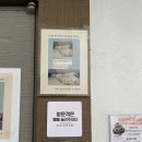 청주 애견유치원 꼬리흔들개Lucky 이미지