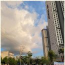 염주센트럴공인중개사사무소 | 광주더샵염주센트럴파크부동산 든든한 동반자, 염주포스코 상가 부동산 체험기