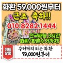 통영서울병원장례식장 이미지