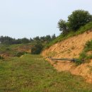 횡천면사무소 이미지