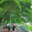 양재천(서초구) 이미지