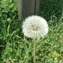 백석폭포 앞 이미지