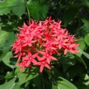 코리아파크 이미지