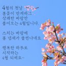 연초로 이미지