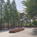 모산 근린 광장 이미지