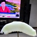 신비손세차 이미지