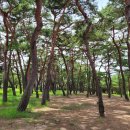 섶다리 공중화장실 이미지