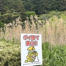 신사2-040 이미지