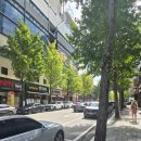 까치돌구이 | 대전 시청 맛집 '까치돌구이' 점심특선 방문후기