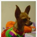 이쁜이한복 이미지