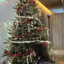 고유시차 | [숙소리뷰] 춘천 독채숙소 고유시차 후기