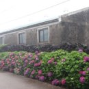 안성리-8 이미지