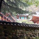 향산상회 이미지