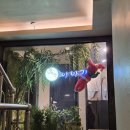 봉초밥 | 서울대입구역 술집 / 샤로수길 술집 야나기 :: 샤로수스크린 고등어봉초밥 후기