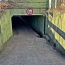 강동면주민자치센터 이미지