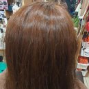 라성님헤어샵 | 대구신천동미용실 미소헤어 헤나염색후기