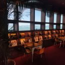 뮤지엄 남해 | 브라운핸즈 남해 | 남해 오션뷰 LP뮤지엄 오픈런 포토스팟 많은 카페 내돈내산 후기