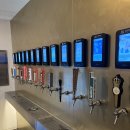 광교호수공원로 | 수원광교수제생맥주 직접 따라 마시는 원천맥주 후기