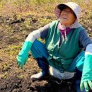 병석농장 이미지