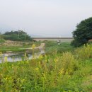 안심리 안심교 이미지