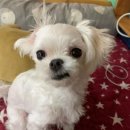 다은동물병원 이미지