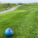 갈대습지공앞앞 이미지