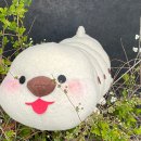 성북동 밤마실 이미지