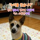 나원1리 이미지