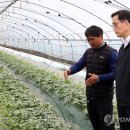 한훈농장 이미지