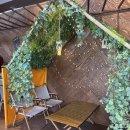 가평야구장 | [경기 가평] 가평 애견동반 카페 | 자라섬 브런치 맛집 | 오로앙쥬