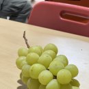 김영창 농장 이미지