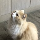 비타민 당구장 이미지