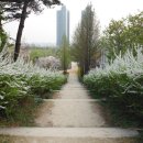 응봉암벽공원 이미지