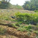 경안공인중개사사무소 이미지