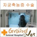 그랜드벳동물병원 이미지