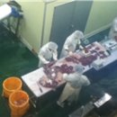 자영목장 이미지