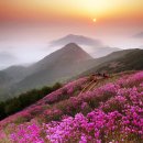 천주산 등산로 입구 이미지