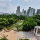 신정공원 이미지