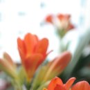 병암농장 이미지